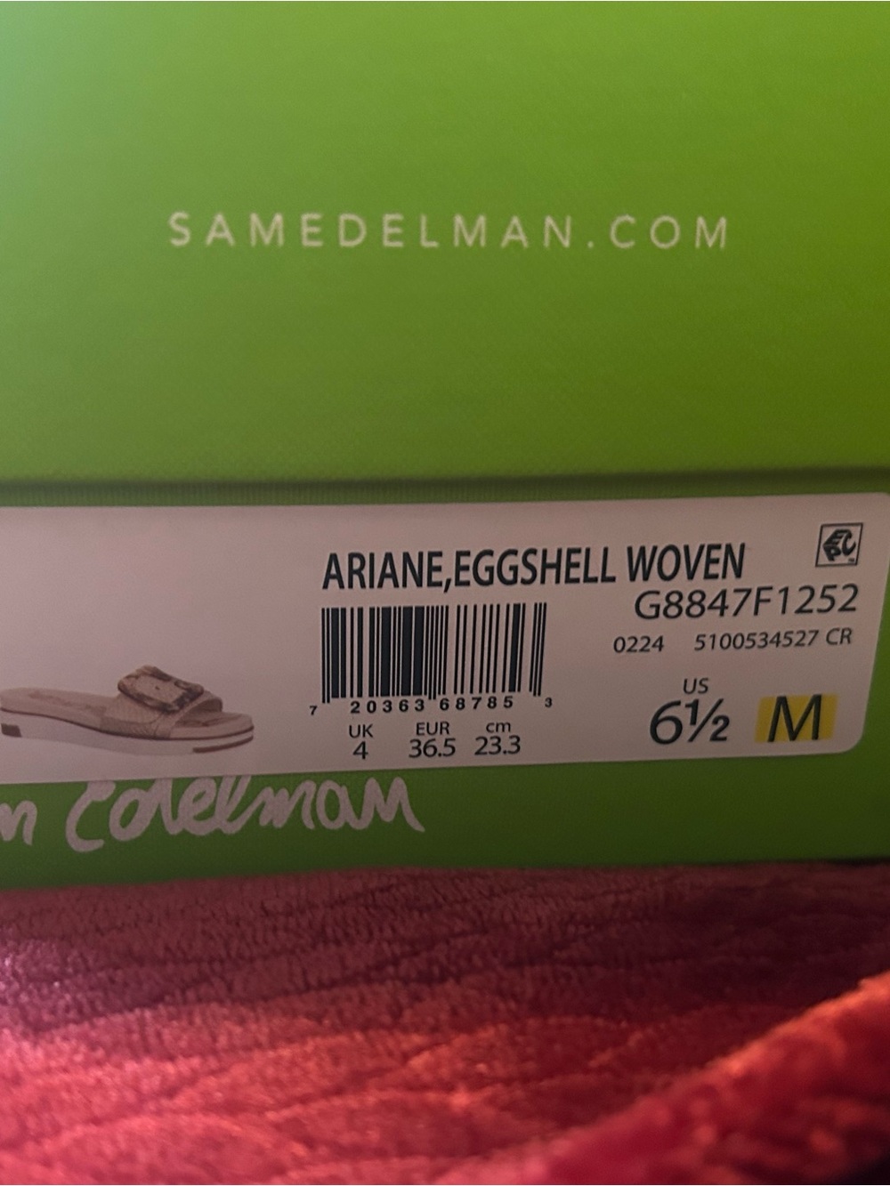 Sam Edelman Ariane Eggshell Woven Slide Sandals 6.5 NWT - Picture 11 of 12